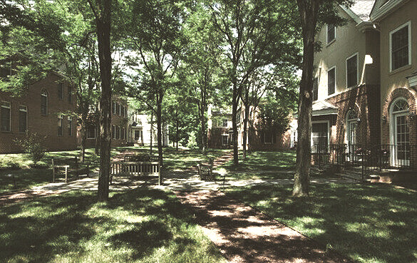 Garden Court in Summer