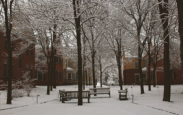 Governors Lane community courtyard